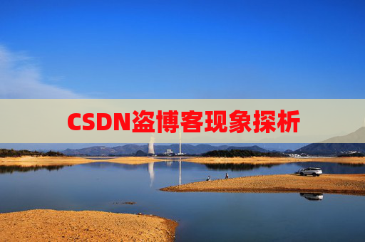 CSDN盗博客现象探析